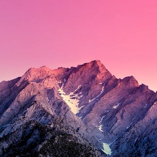 Зариф
