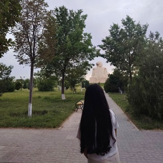 🕊️